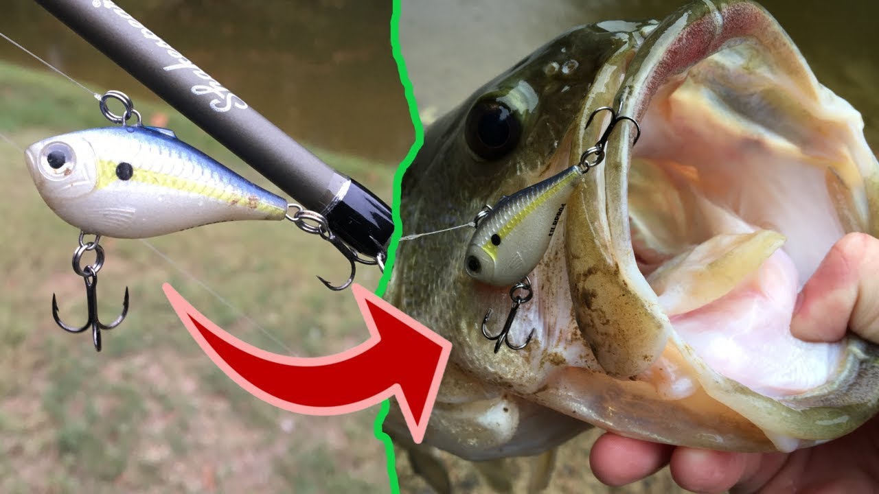 Bass Fishing with a TINY Lipless Crankbait (Rapala Ultra Light Rippin Rap)