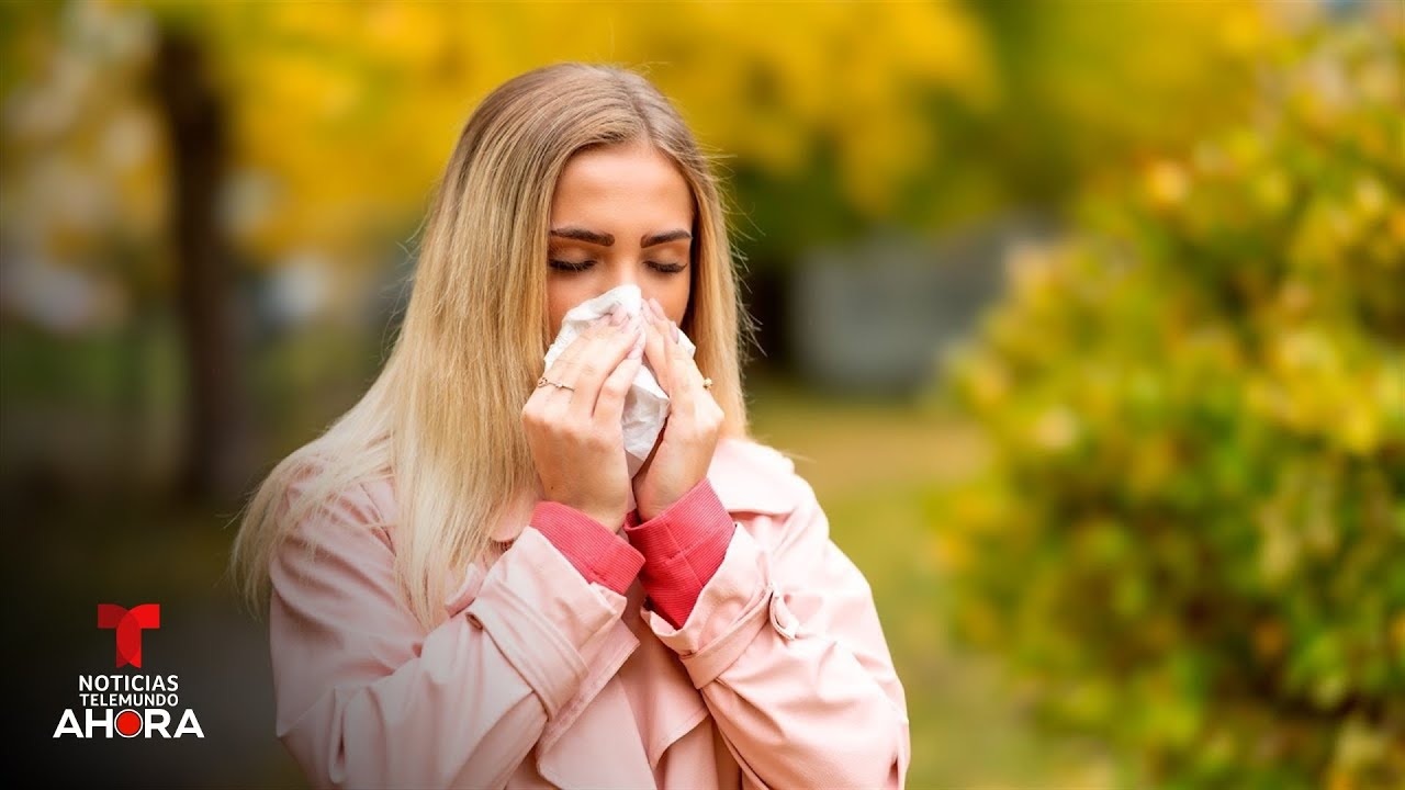 Esta es la razón detrás de las alergias que llegan con la primavera | Noticias Telemundo