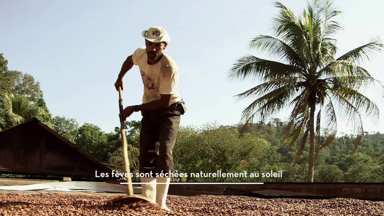 Valrhona - Les étapes de fabrication du chocolat
