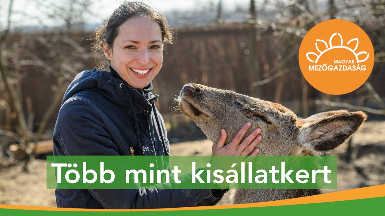 Itt mindenkinek jó helye van - A Szentendrei Kisállatkert | MMG