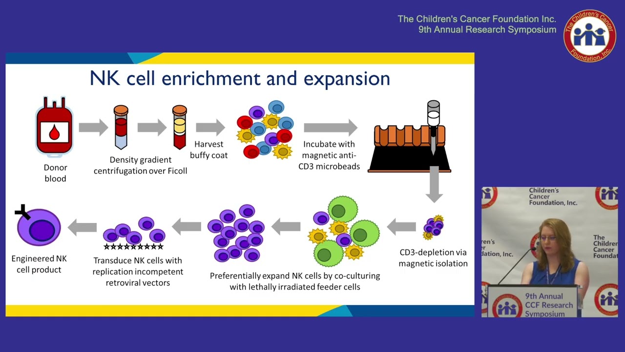 Chimeric cytokine receptors increase NK-cell functionality against AML