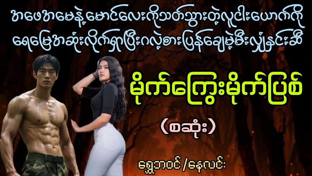 မိုက်ကြွေးမိုက်ပြစ်(စဆုံး)#starစတားchannel #audiobook #naylin 