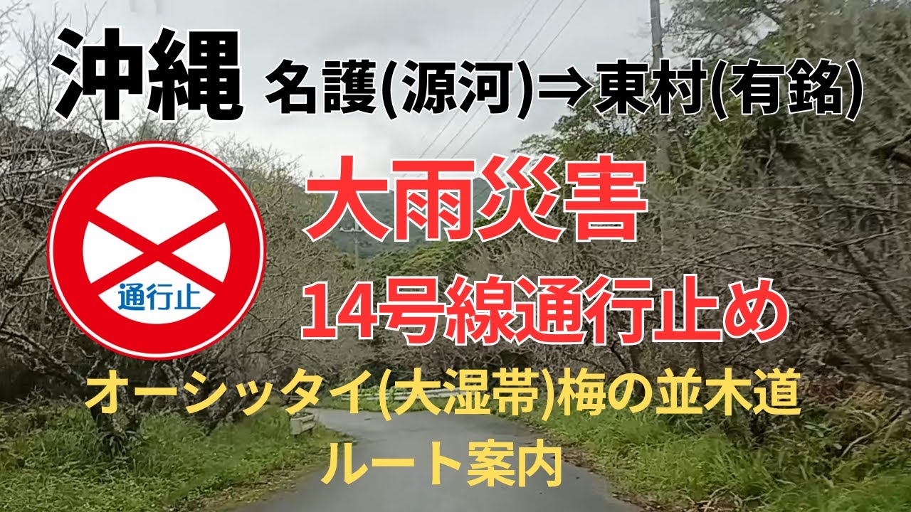 【山の楽園 Ep27】沖縄県県道14号線（名護市源河～東村有銘）通行止め続出！ オーシッタイ(大湿帯) ルート案内 58号線⇔331号線へ