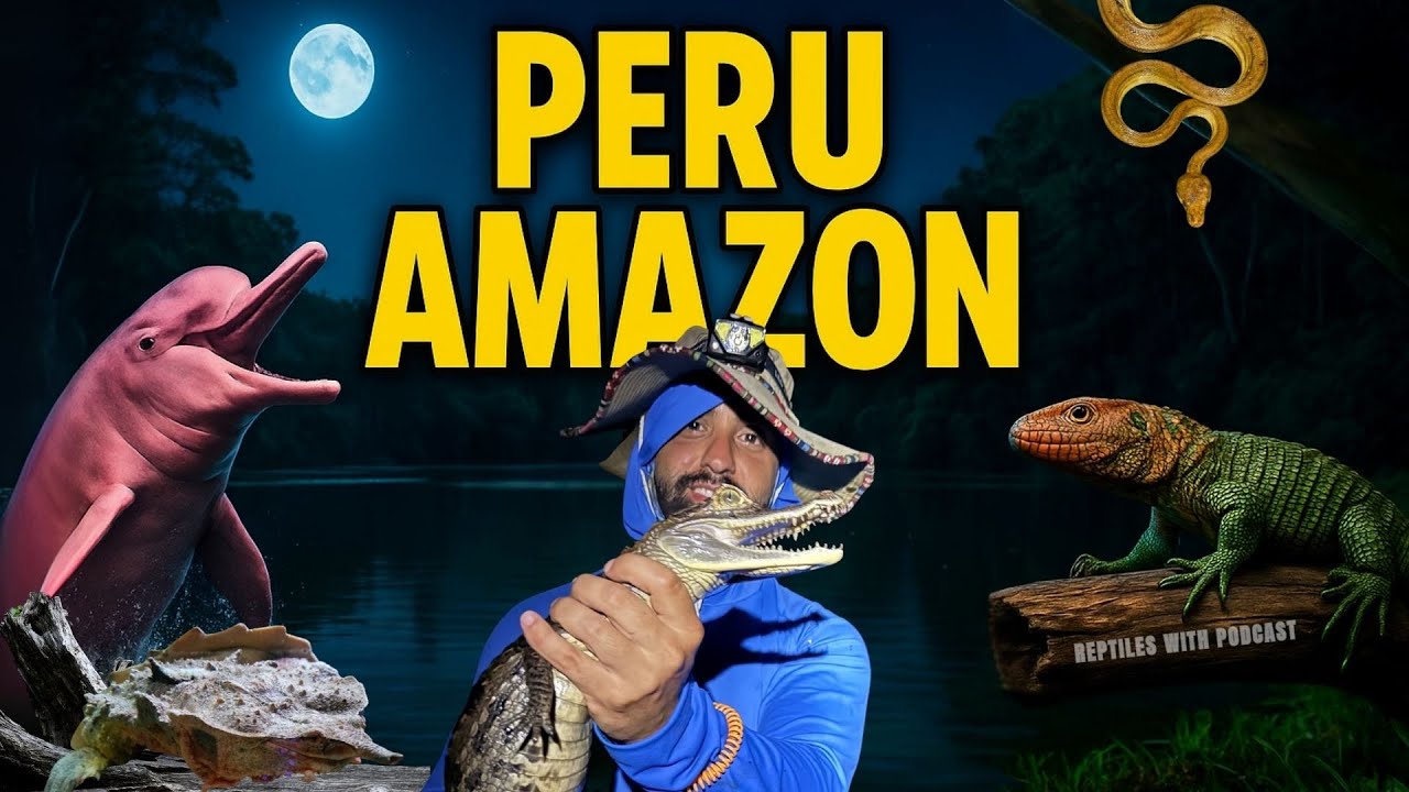 WE HERPED THE PERUVIAN AMAZON with Manny of TikisGeckos | Reptiles With Podcast