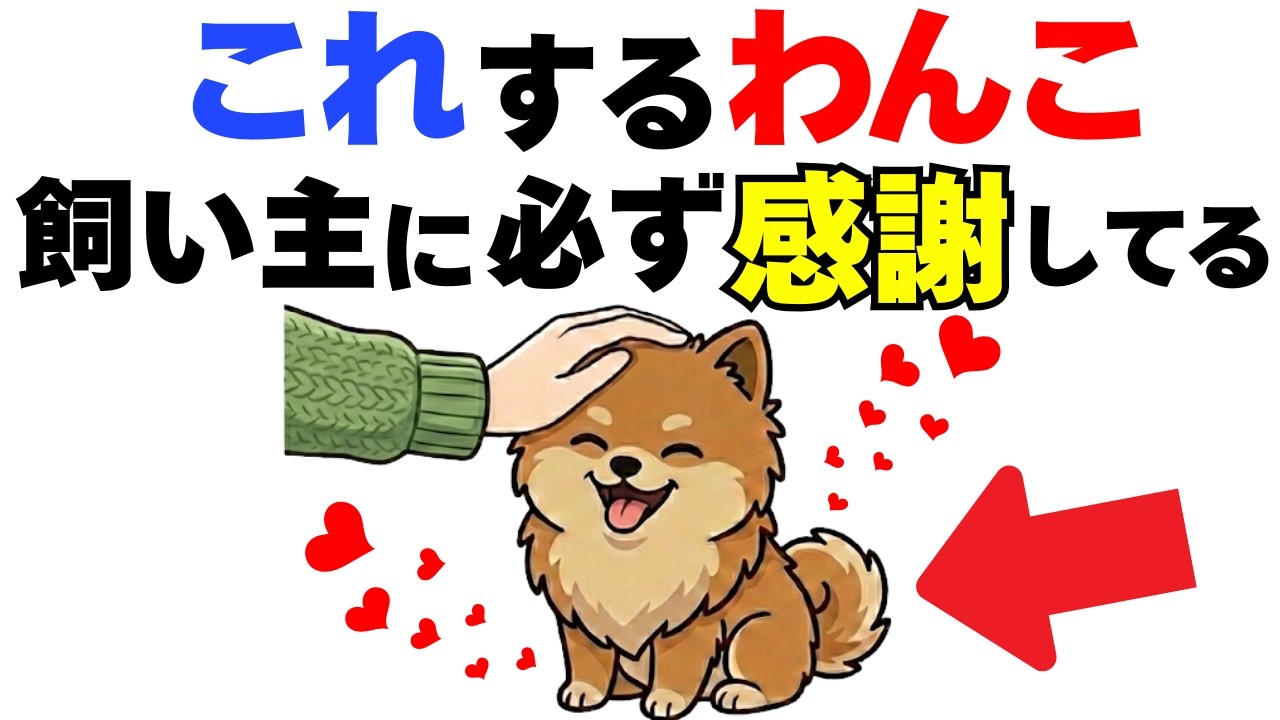【衝撃の事実】犬が飼い主にありがとうを伝えるサイン１２選