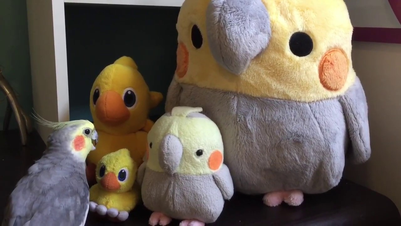 So Many Friends!