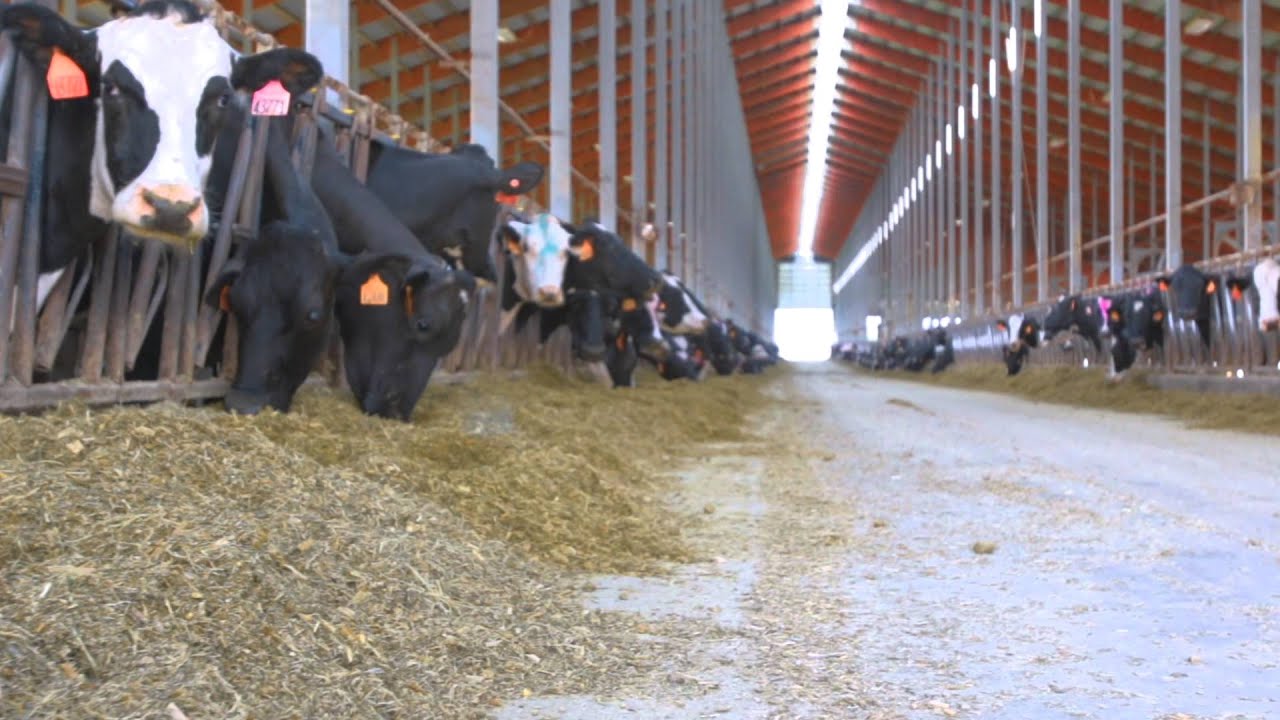 Improving Soil with Gypsum