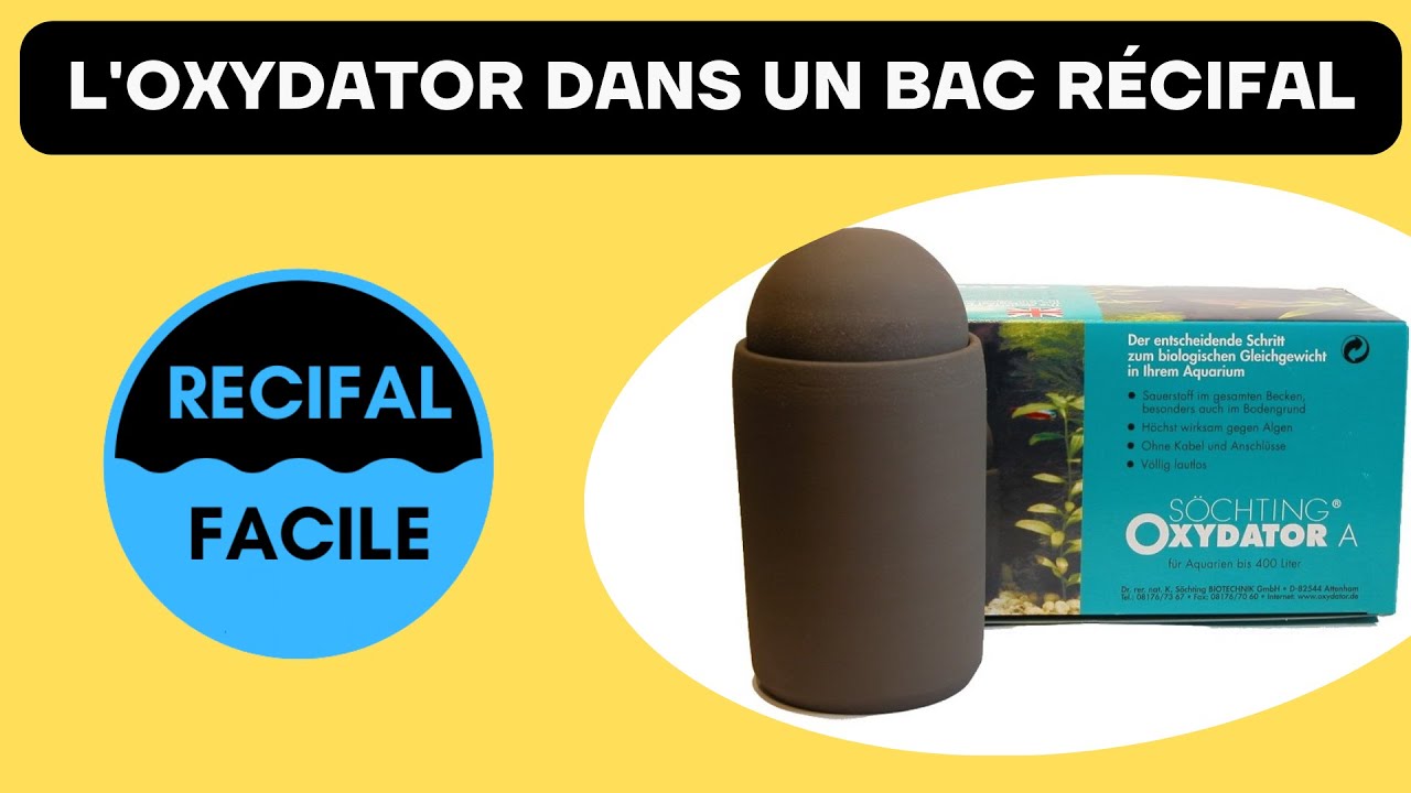 L' Oxydator dans un bac récifal