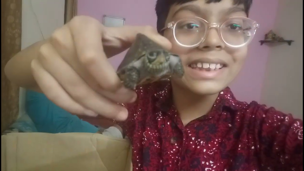 Guys main aapko subscribe karne ke liye khulata nahin bol raha hun subscribe kar do