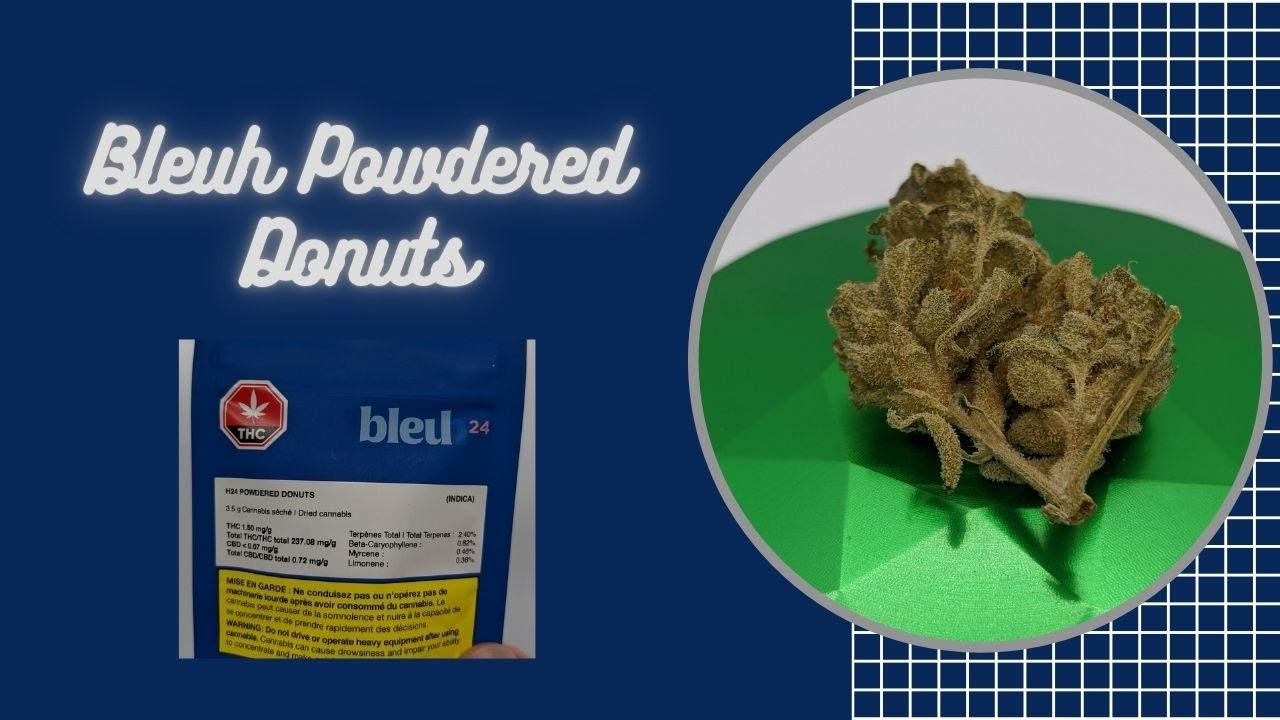 Bleuh - H24 Powdered Donuts Review
