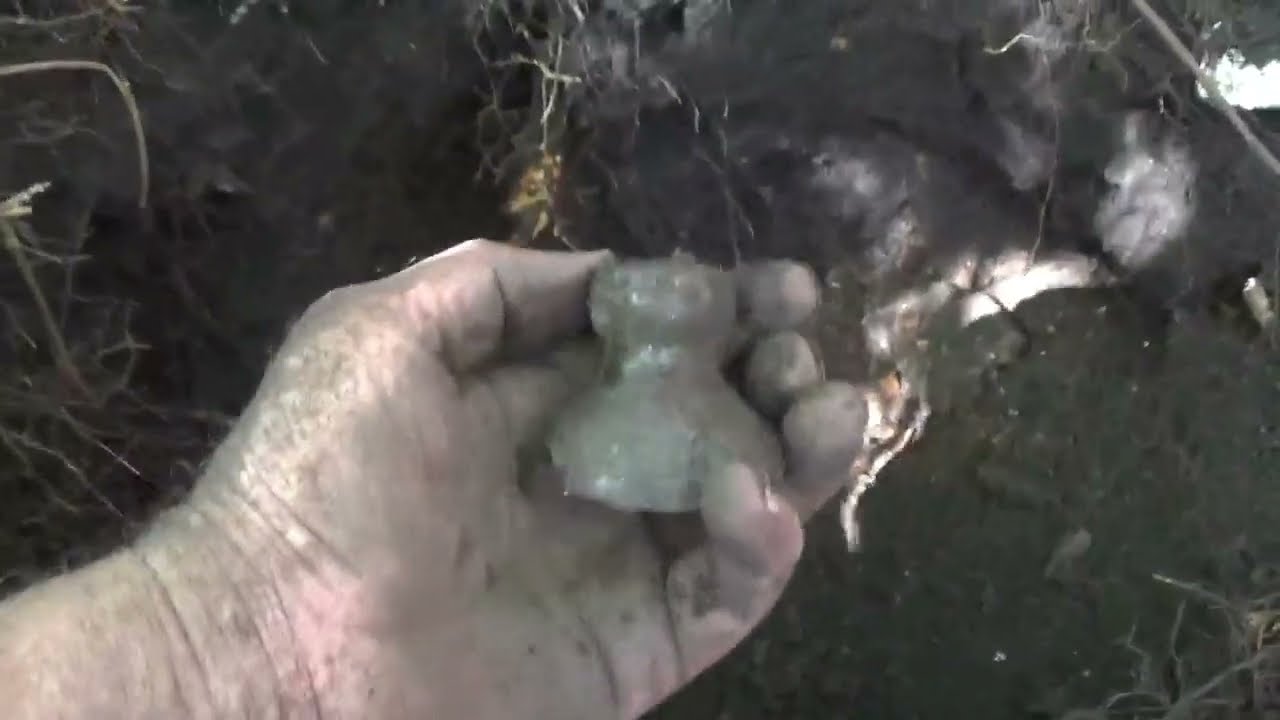 Digging More 1800s Gulf Coast Trash Pits