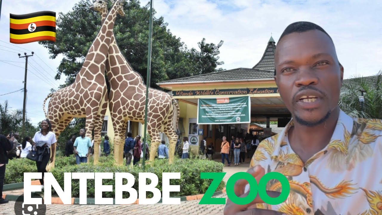 Как же интересно исследовать зоопарк Энтеббе и разнообразие диких животных в джунглях!