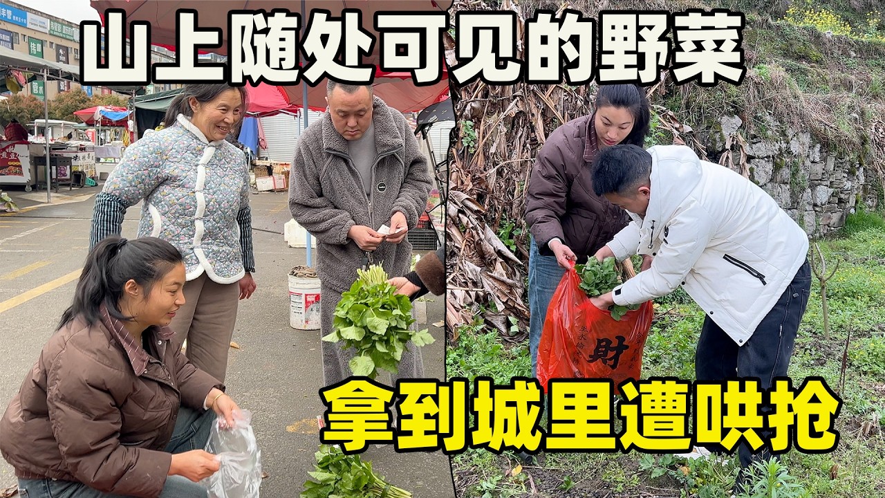 在山里没人要的野菜拿到城里也太受欢迎了，刚开摊一会就清空了，老妈说这钱也太好赚了，改天还来