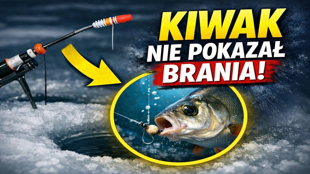 Tw&oacute;j Kiwak KŁAMIE. Przez to tracisz 90% brań!