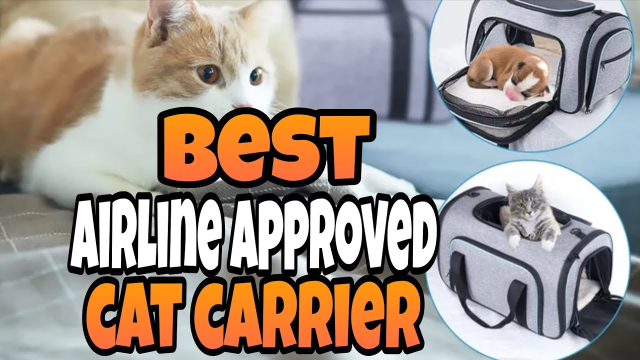 Top 3 ✅Best Airline Approved Cat Carrier reviewed 2025-2026 | Airline Approved Cat Carrier