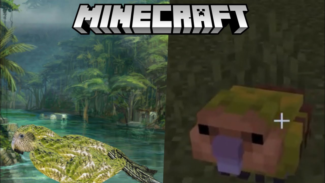 Naturalist 3.0 UPDATE! MINECRAFT ADDON SHOWCASE