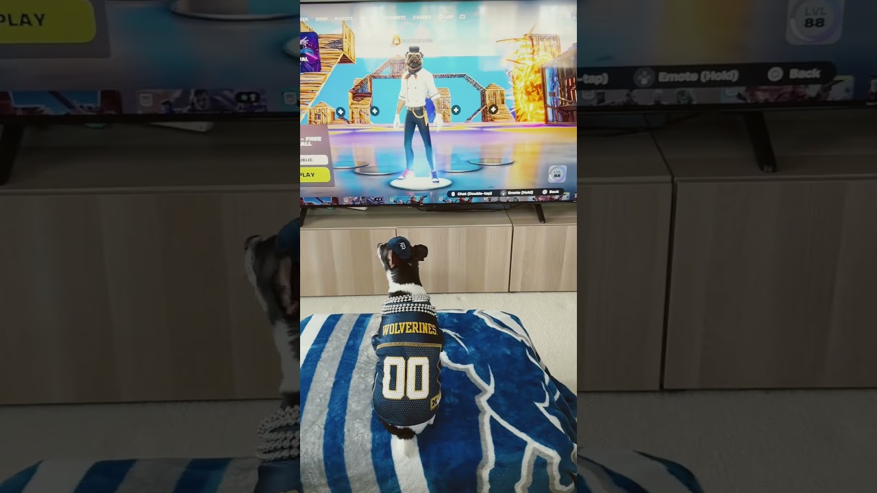 #fortnite #gaming #forniteclips #dogoftheday#puppy #cute #funny