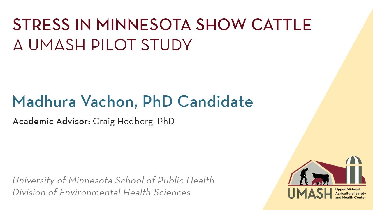 Stress in Minnesota Show Cattle