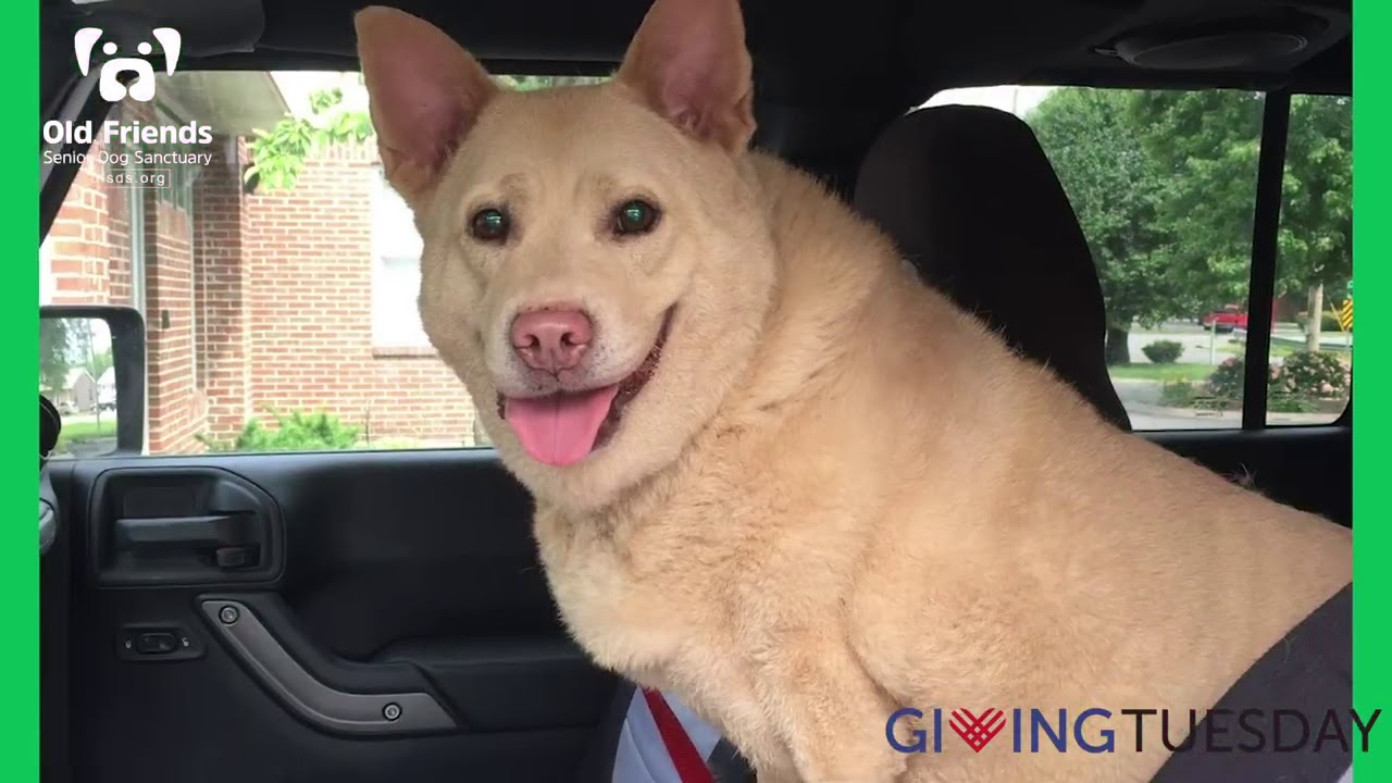 Florence - Giving Tuesday 2020