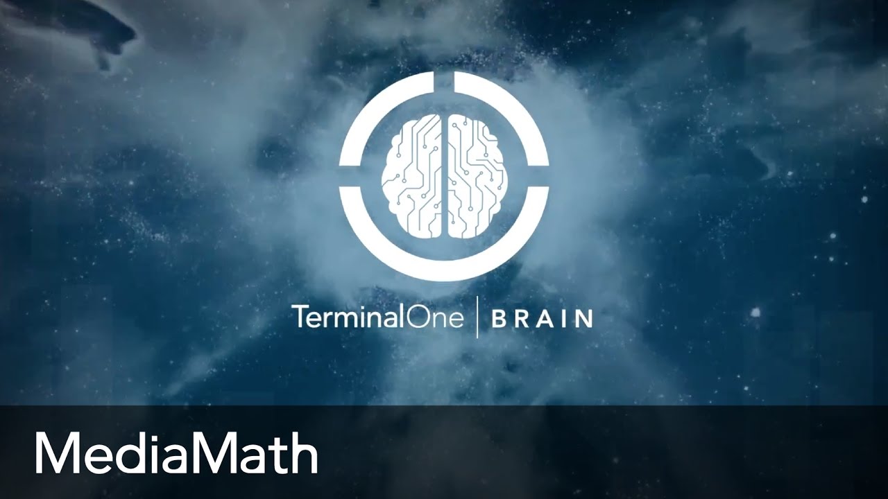 An Introduction to TerminalOne