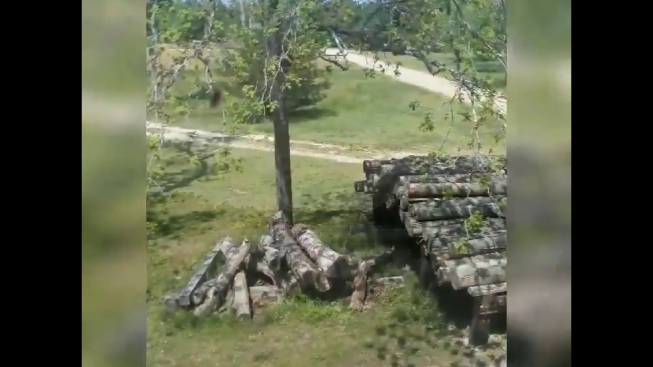 The Batsto Village Sawmill