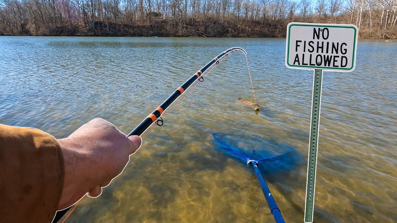 Cold Water Carp Fishing with Munch Baits