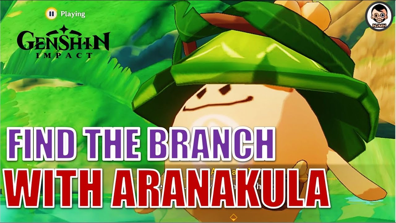Find the branch together with Aranakula | Genshin Impact
