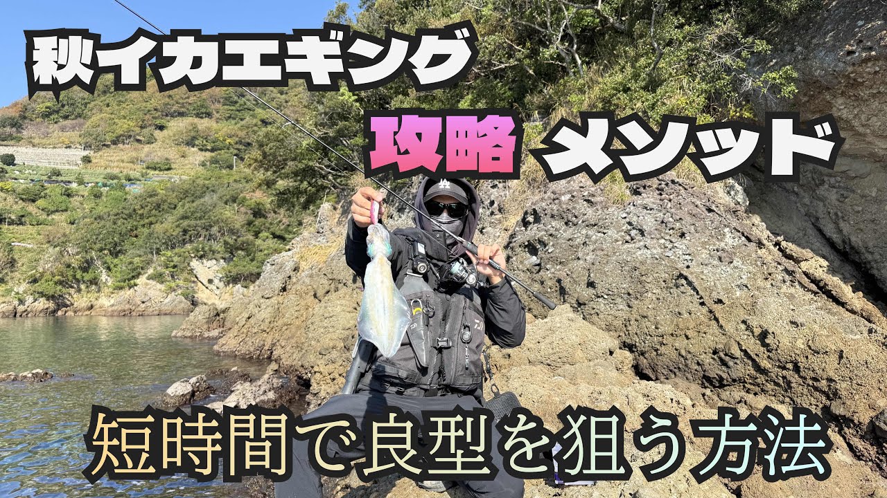 ［エギング］秋イカで良型を狙うエギングメソッド！！［萩原流丘餌木釣)