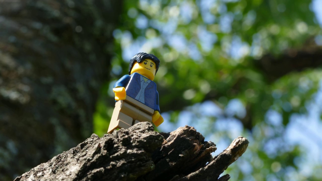 Cesta domov - neskr&aacute;ten&aacute; verzia