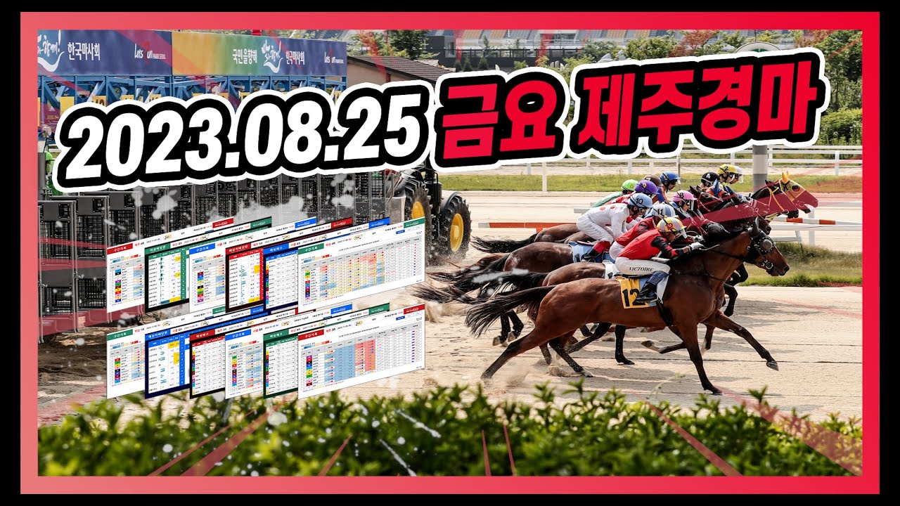 2023년 8월 25일 금요 제주경마 전체경주 모아보기