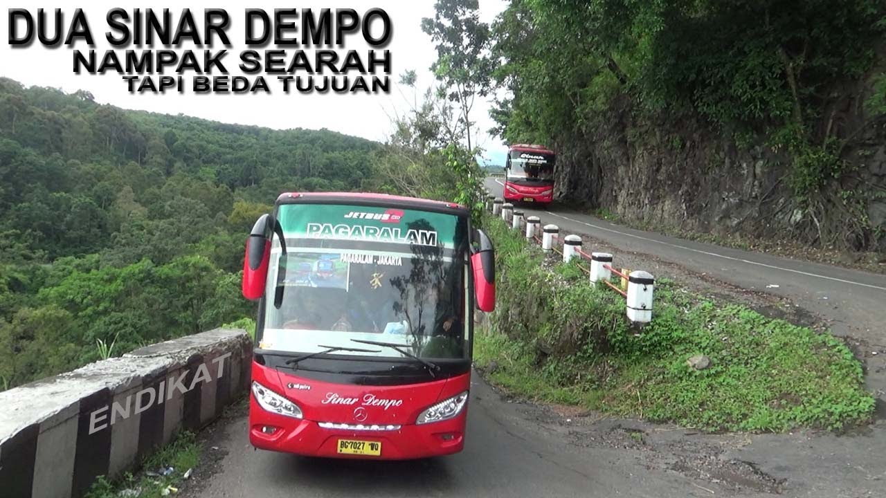 DUA BIG BUS SINAR DEMPO BERLINTASAN DI ENDIKAT MERCY DAN HINO
