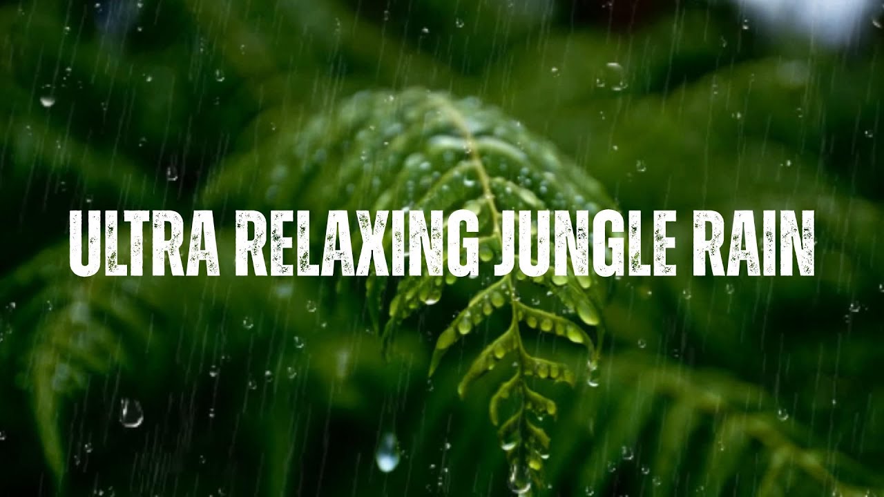 🌧️ Ultra Relaxing Jungle Rain | ASMR Sounds for Deep Sleep