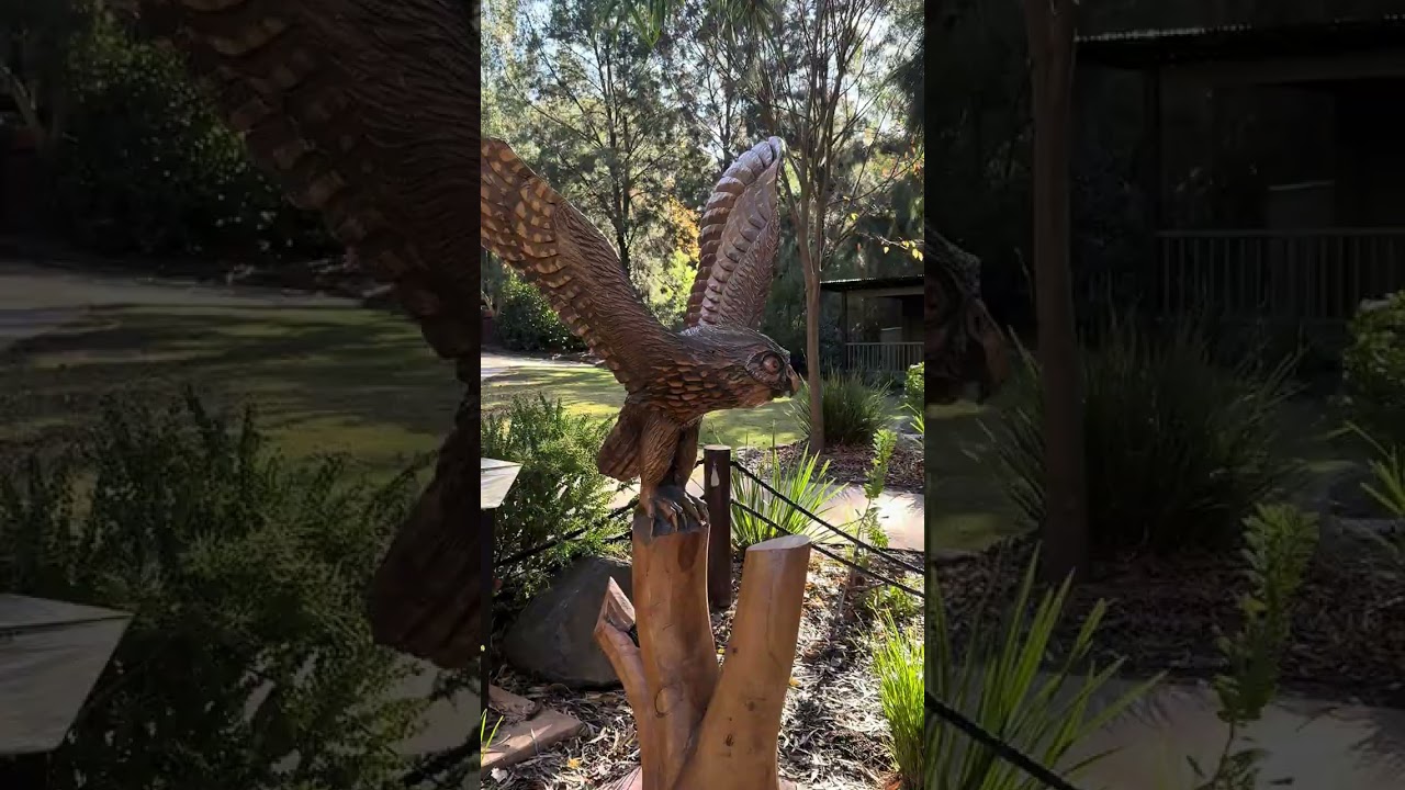 Get Up Close with Wildlife 🐘✨ Jamala Lodge Open Day Canberra 