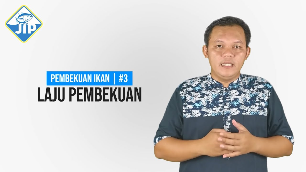 Pembekuan Ikan #3 | Laju Pembekuan