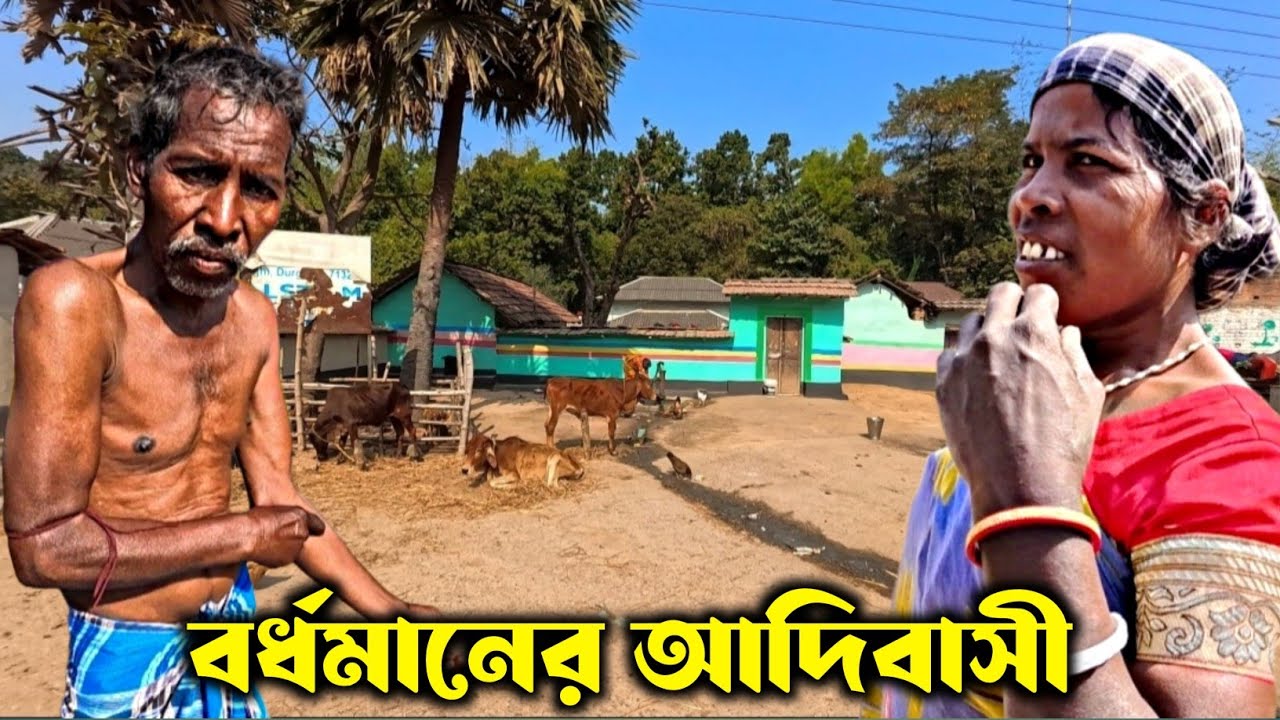 বর্ধমানের সর্দার আদিবাসীদের জীবন। Tribal ST in Bardhaman