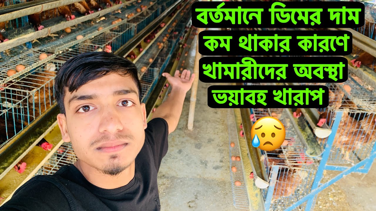 বর্তমানে ডিমের দাম কম থাকার কারণে খামারীদের অবস্থা ভয়াবহ খারাপ 🐓🥚😥#লেয়ারখামার #zahidagro 