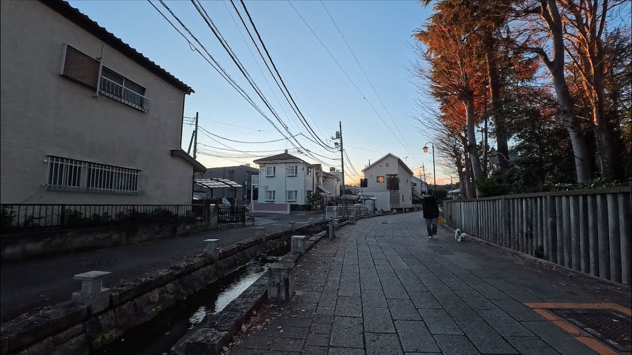 Tokyo Afternoon to dusk Walk in Seiseki-Sakuragaoka | Japan 4K