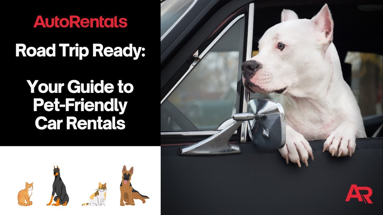 Pet-Friendly Car Rentals: Ultimate Guide for Road Trips | AutoRentals