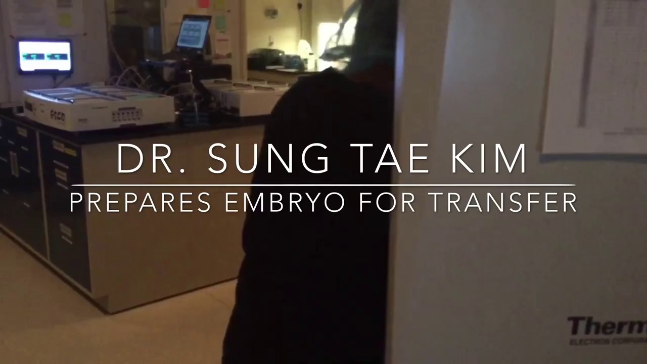 Embryo Prep & Transfer @ CC