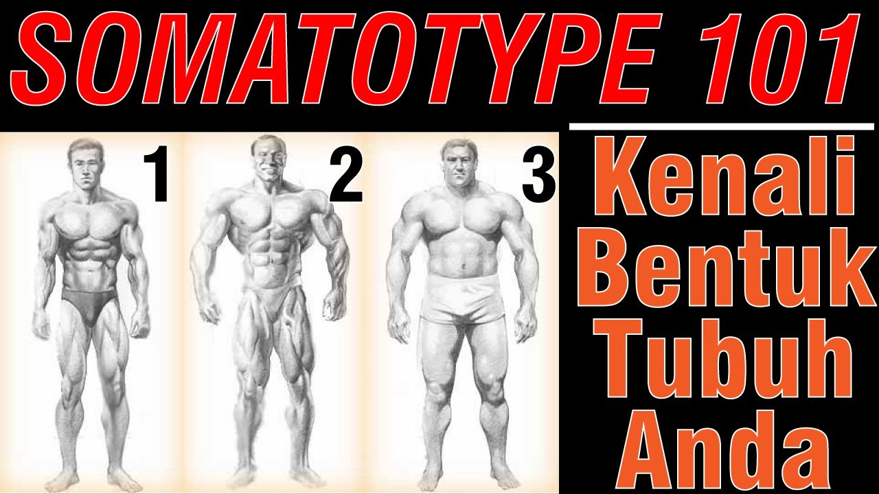 TIPE-TIPE BENTUK TUBUH DAN LATIHAN YANG SESUAI | SOMATOTYPE 101