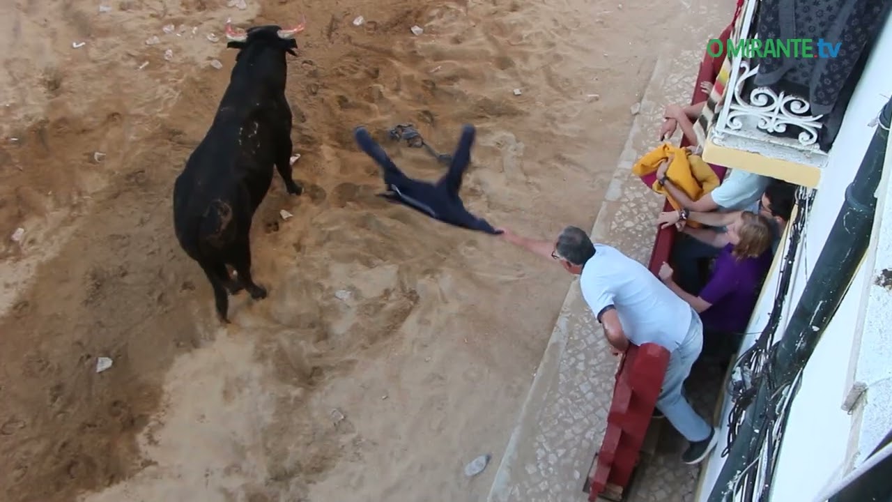 Feira de Maio em Azambuja celebra as tradições e cultura do Ribatejo