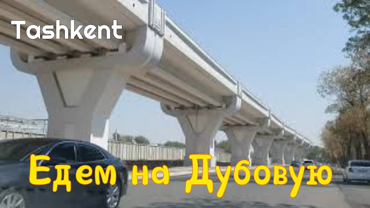 Uzbekistan Tashkent Едем на ДУБОВУЮ