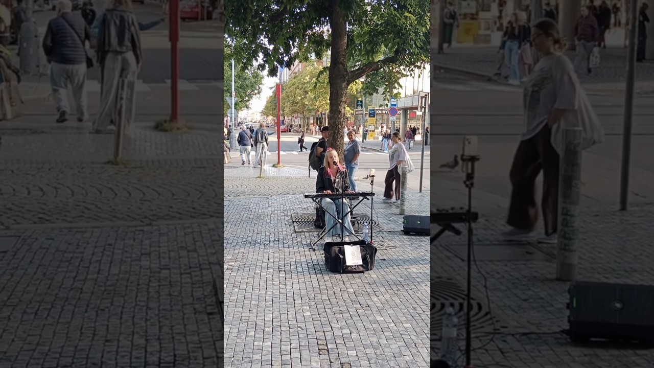 Česk&yacute; zpěv&aacute;k
