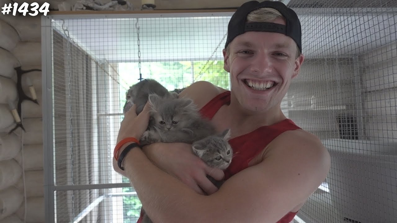 ONZE EIGEN POES GEKOCHT! - ENZOKNOL VLOG #1434