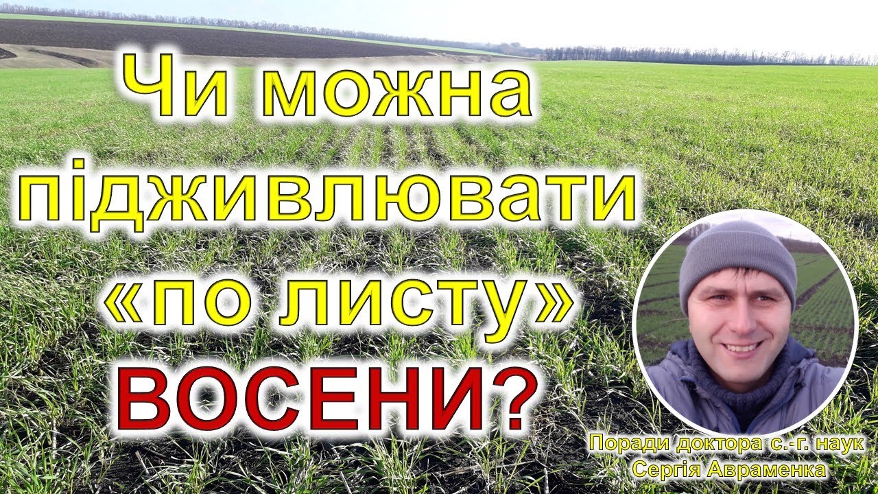 Чи можна підживлювати по листу в осінній період?