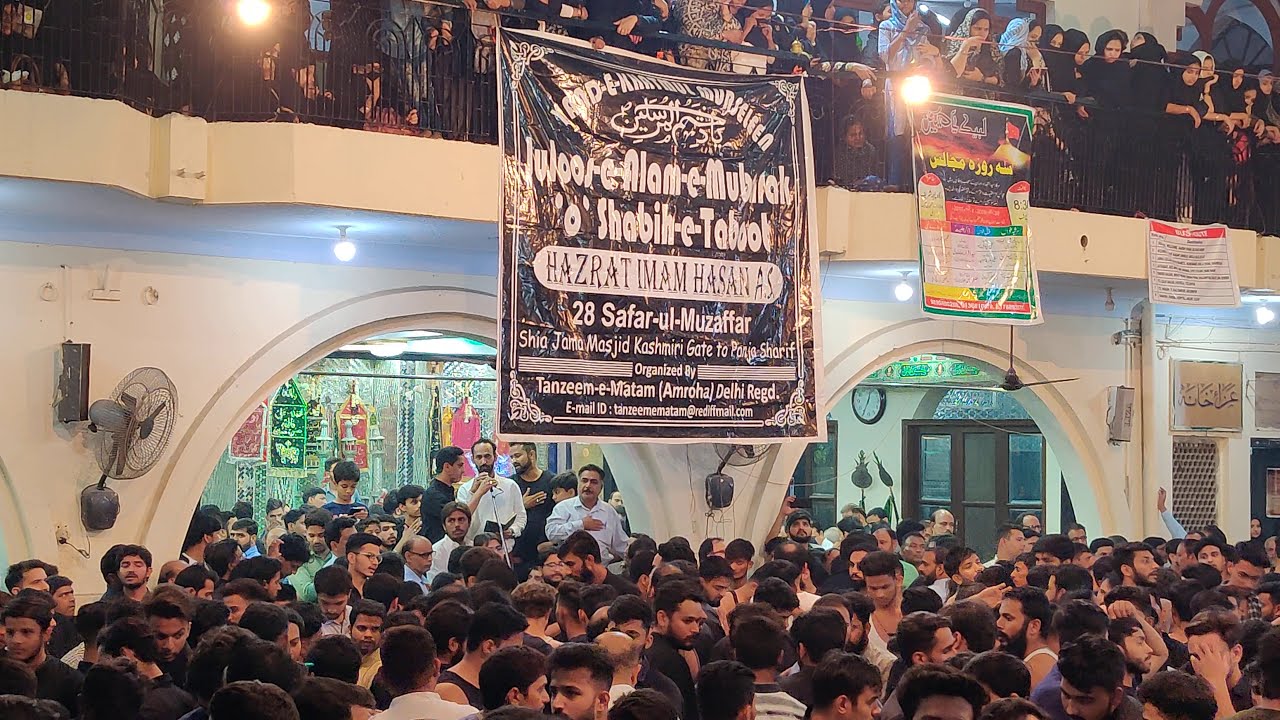Akber ne Azaan Di || Amroha Noha || Anjuman Tanzeem-e-Matam®️ || 28 Safar 2019 || Panje Sharif
