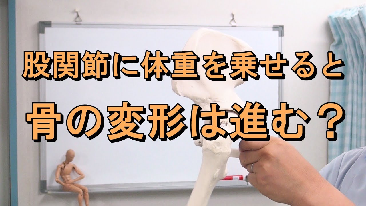 股関節に体重を乗せると変形性股関節症は悪化する？　変形性股関節症の真実とは？　愛知県江南市の慢性痛専門整体　爽快館