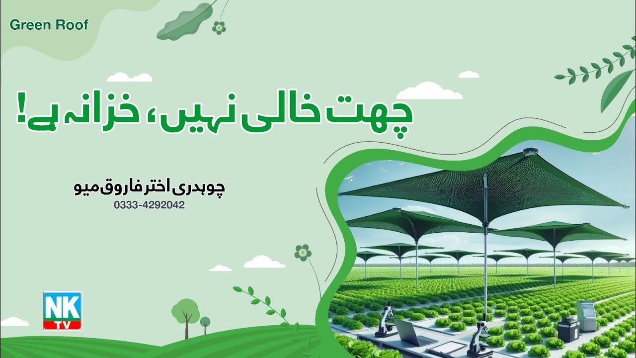 Why not grow kitchen grading on Roop top green revolution from roof