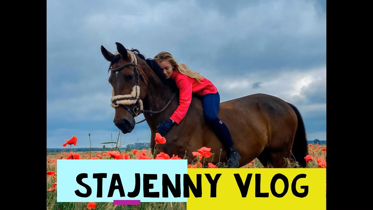 PIERWSZY STAJENNY VLOG - POZNAJCIE DILKĘ🙈❤️