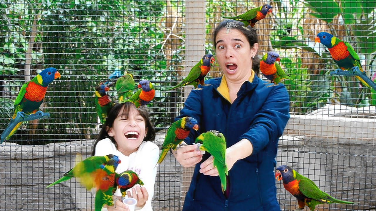OS PÁSSAROS FIZERAM CAQUINHA NA CABEÇA DA MAMÃE!!! ★ VLOG Reino dos Pássaros - Bird Kingdom Niagara